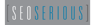 SEO Serious Logo
