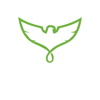 Ezio Infotech Pvt. Ltd. Logo