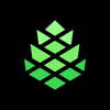 CleverPine Logo