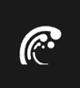 Black Wave Digital Logo