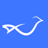 SoBirds Creative Agency Logo