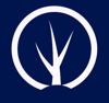 Ongshon Digital Logo