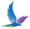 Hawk Marketing Logo