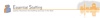 Essential Staffing Inc Logo