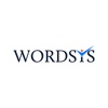Wordsys Information Technology Logo