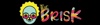 thebrisk Logo