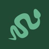 Digital Brother Logo