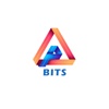 BestInfoTechSolution Logo