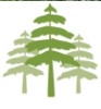 EFM Logo