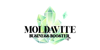 Moldavite Business Booster Logo
