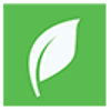 Netleaf Software Logo