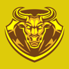 Bull Media Logo