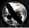Raven Paul & Co. Logo