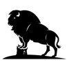 Dziekonski Photography Logo