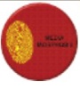 Mediamorphosis Advertising & Technology Inc Logo