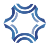 Digisecuritas Logo