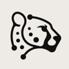 Code Cheetahs Logo
