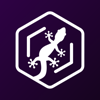 Geckode Logo
