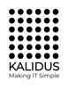 Kalidus IT Services Logo