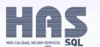 HAS 2001 LTDA Logo