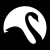Black Swan Productions Ltd Logo