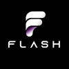 Flash Marketing Agency Logo