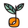 PiP Coders Logo