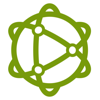 Spatial Networks Logo