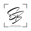 Sebastien Boyer Coach professionnel Logo