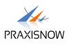 PraxisNow Logo