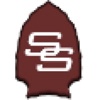 Silva Surveying, Ltd. Logo