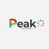 Peak Media Consulting Company Logo