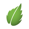 Peppermint Technology Logo