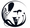 VULPEA ARHITECT Logo