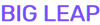 BigLeap Marketing Logo