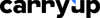 Carryup Innovations Private Limited Logo