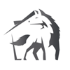 Wolfnest Property Management Logo