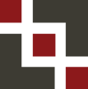 BSBV Inc. Logo
