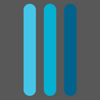Fromson Consulting Logo
