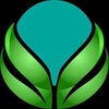 Green Expose Digital Logo