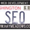 Hay Meadows SEO Logo