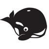 HeyOrca Logo