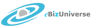 eBizUniverse Logo