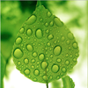JTL LANDSCAPE INC Logo