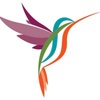 Kennedy Creative Events Logo