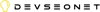 Devseonet Logo