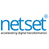 NetSet Software Solutions Logo