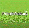Viral In Nature Logo
