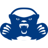Netbadgers Ltd. Logo