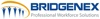 Bridgenex Logo